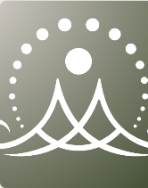 Holistic Skin & Analyse